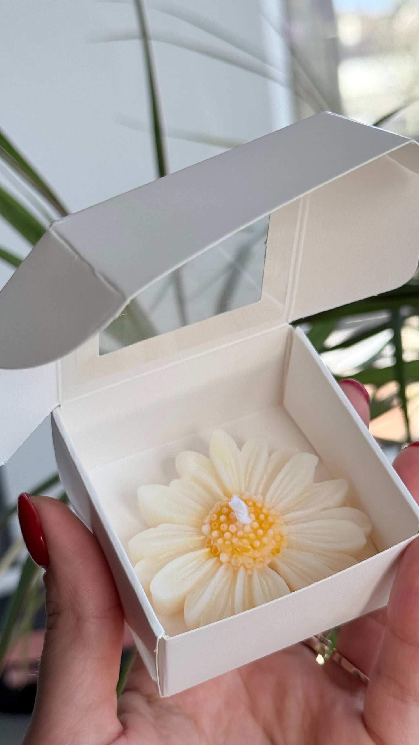 Daisy Candle | Flower Soy Wax Candle | Favours | Floating Candle