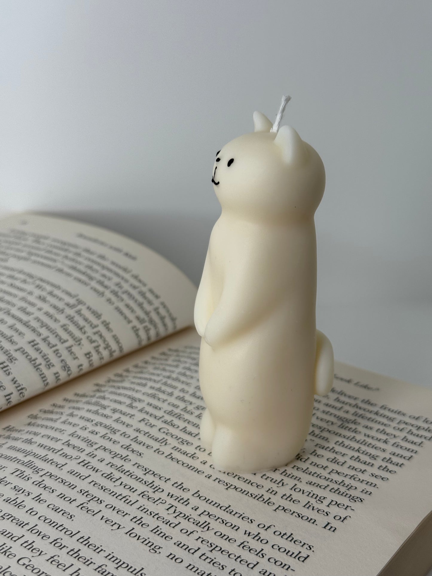 Cat Candle | Animal Candle