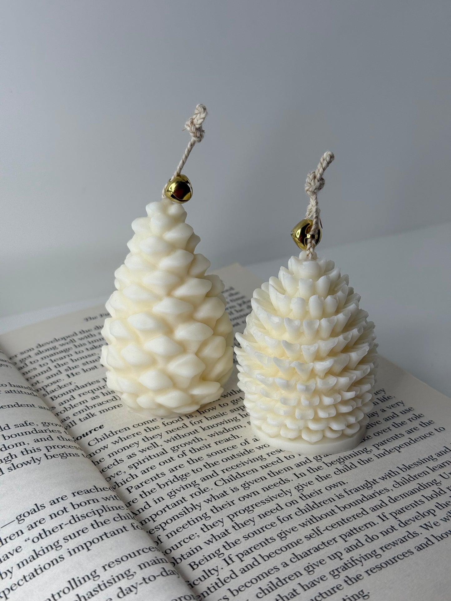 Pine Cones Candles