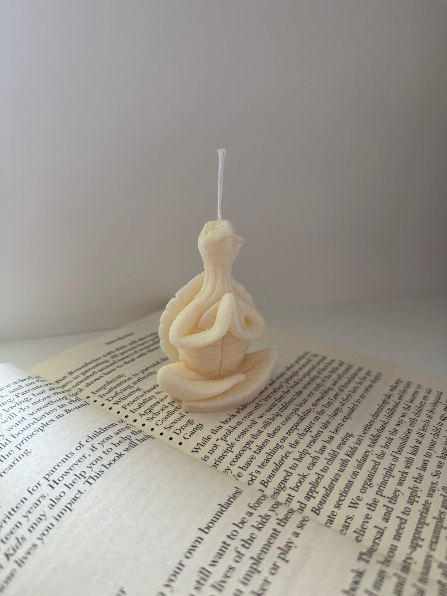 Turtle Candle | Yoga Soy Wax Candle