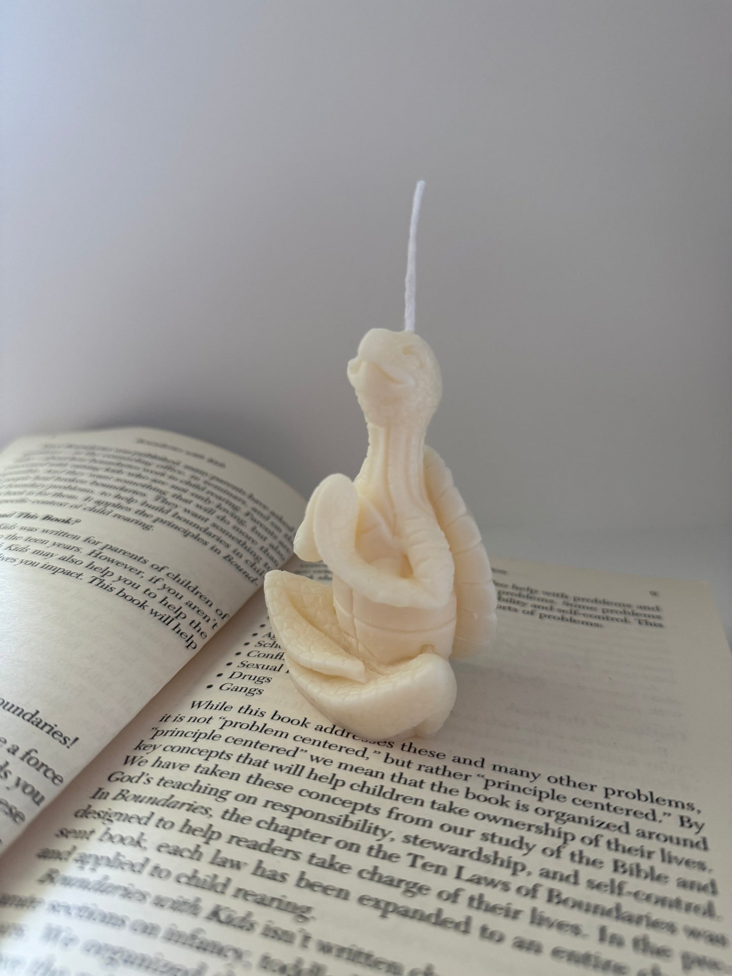 Turtle Candle | Yoga Soy Wax Candle